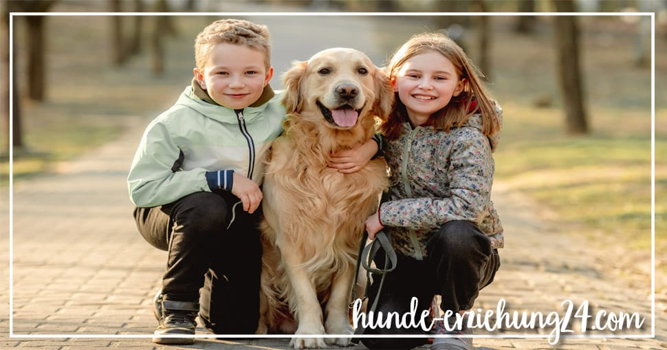 Hunde und Kinder - Das Geheimnis einer glücklichen Freundschaft