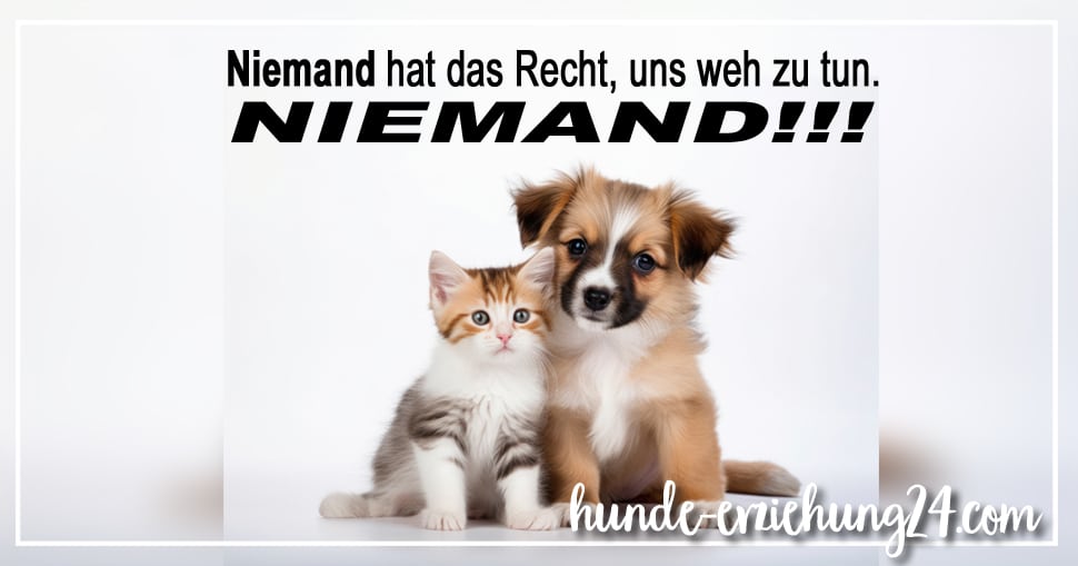 Niemand hat das Recht uns weh zu tun