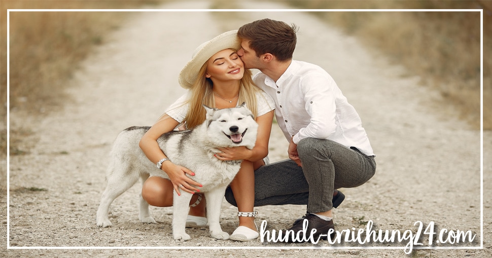 Hunde und ihre erstaunliche Wirkung auf unsere Lebenserwartung